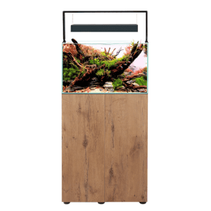 aquascape