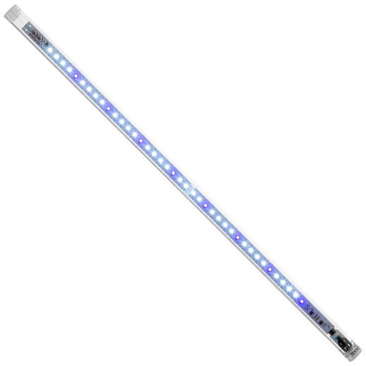 leddy tube juwel vaihtoputket