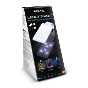 leddy smart