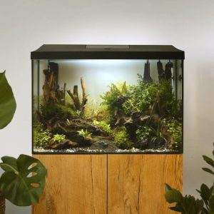 AQUAEL LEDDY XL DAY&NIGHT 60