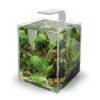 LEDDY SMART 4,8W PLANT & NIGHT WHITE