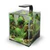 LEDDY SMART 4,8W PLANT & NIGHT BLACK