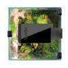 LEDDY SMART 4,8W PLANT & NIGHT BLACK