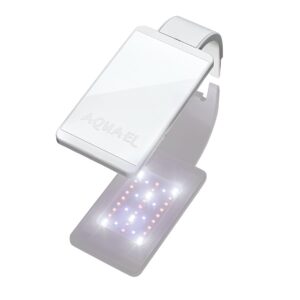 LEDDY SMART 4,8W PLANT & NIGHT WHITE