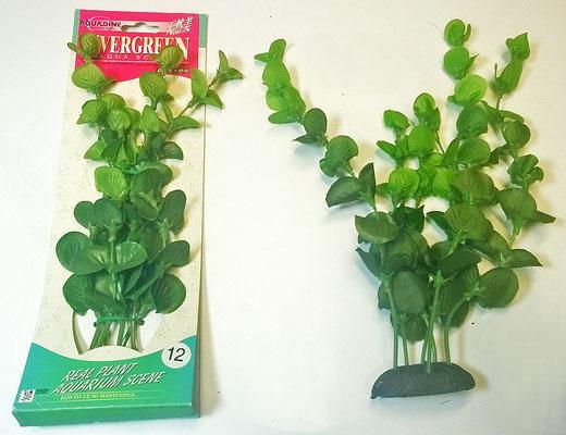 Nro 12-L SILKKIKASVI 25 cm, vihreä