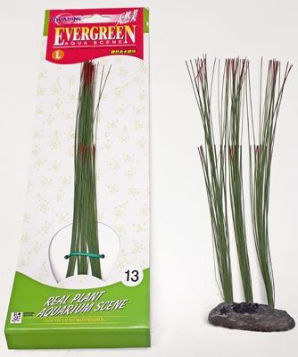 Nro 13-L SILKKIKASVI 25 cm, vihreä