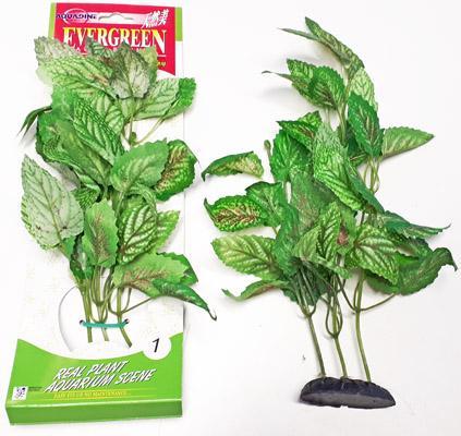 Nro 01-L SILKKIKASVI 25 cm, vihreä